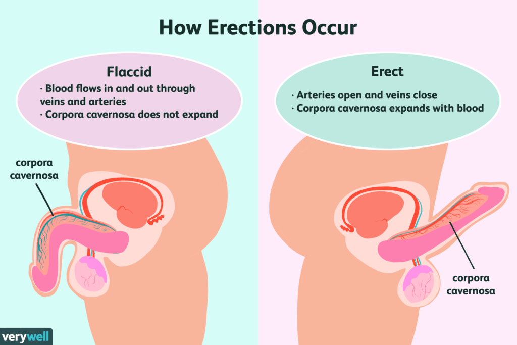 Best Andrology Clinic in Dubai | Erectile Dysfunction Specialist UAE